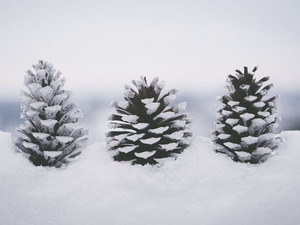 Ойрын 10 хоногт цаг агаар ямар байх вэ